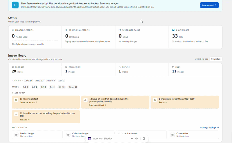 Bulk Image Edit dashboard showing the Status, Image library, Issues to fix and Backup status sections