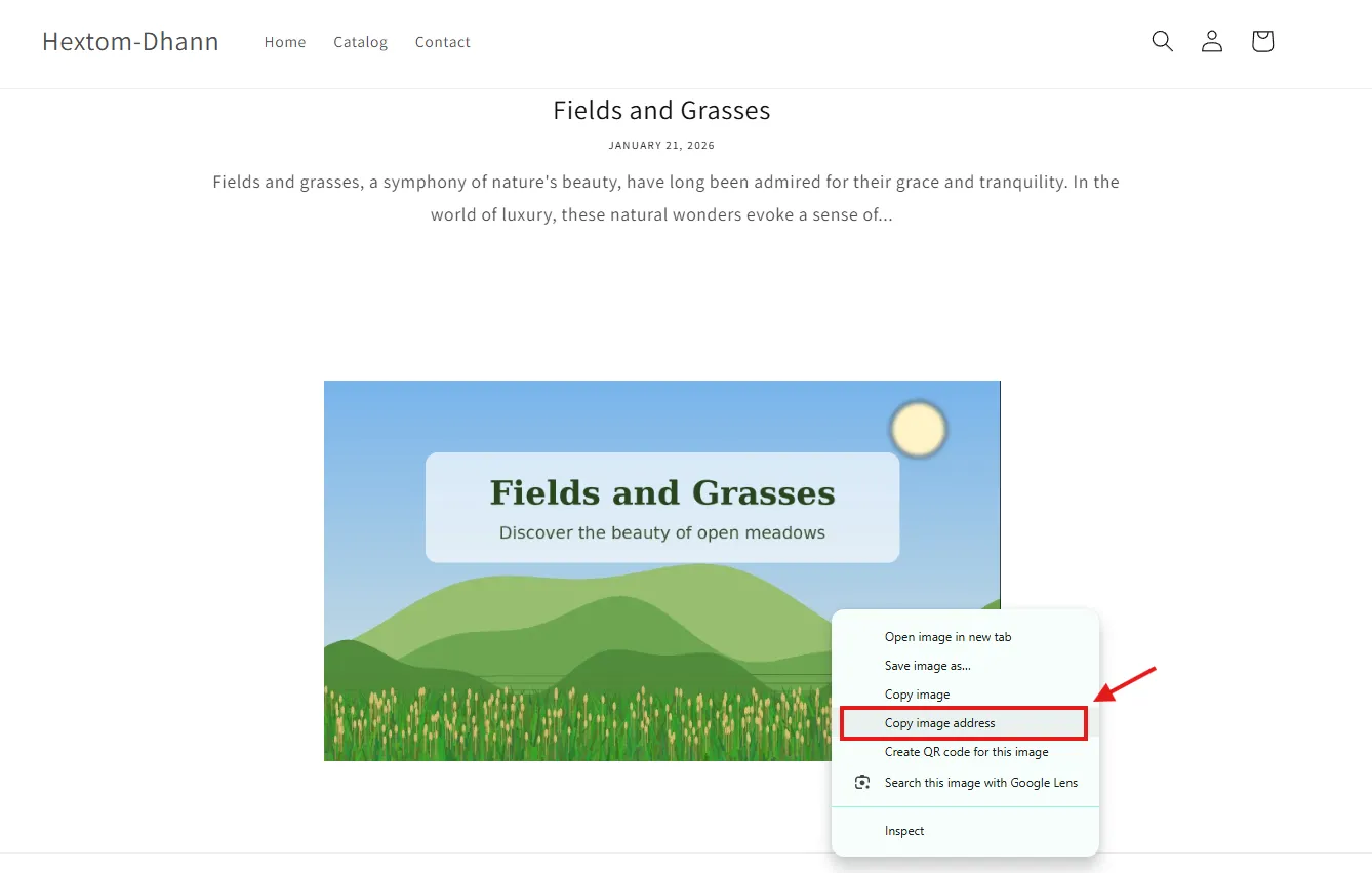 Storefront image with the right-click menu open and Copy image address highlighted