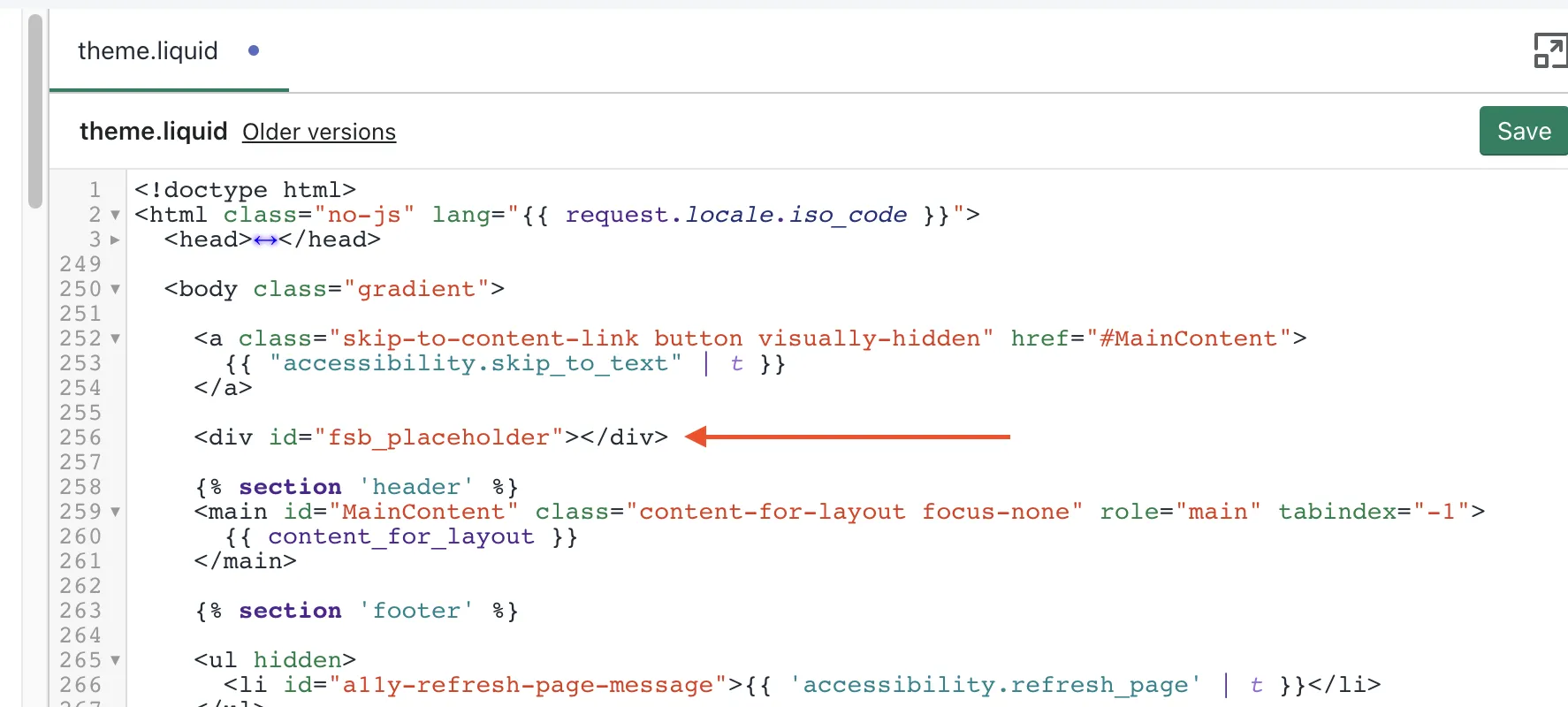 Placeholder code pasted into theme.liquid